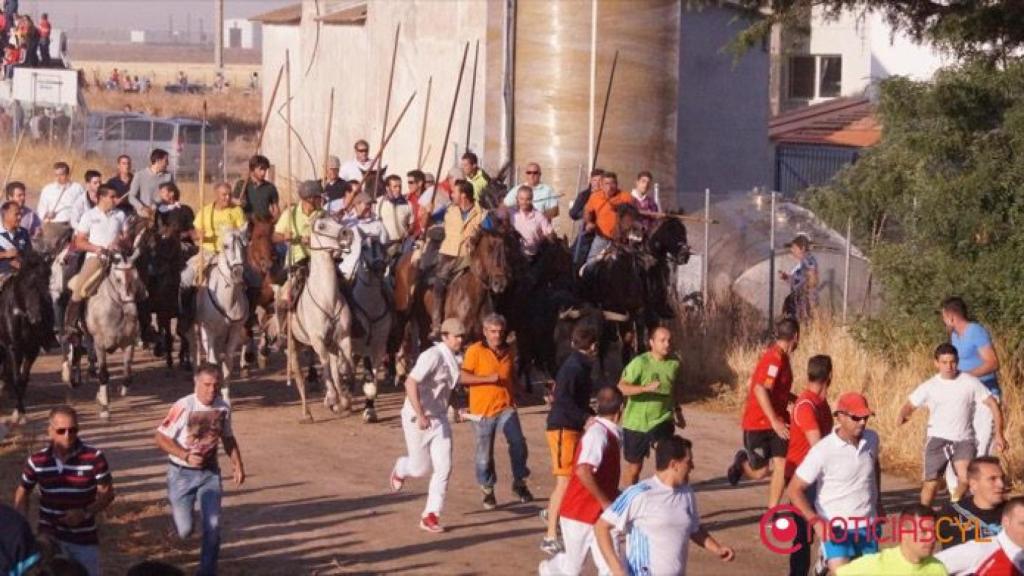 encierro medina del campo fiestas san antolin 57