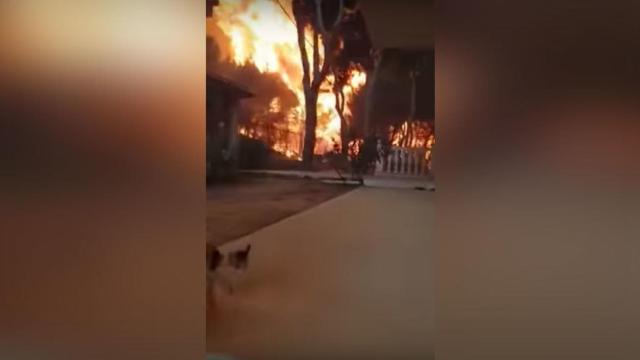 Graba como un incendio griego devora su casa mientras trata de salvar a su gato