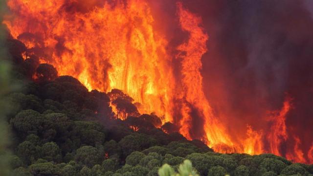 Imagen del incendio que se ha producido en Nerva.