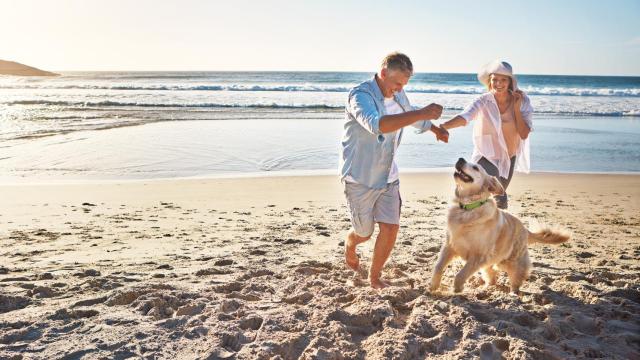 Cada vez son más los arenales de nuestro país que permiten la entrada de perros