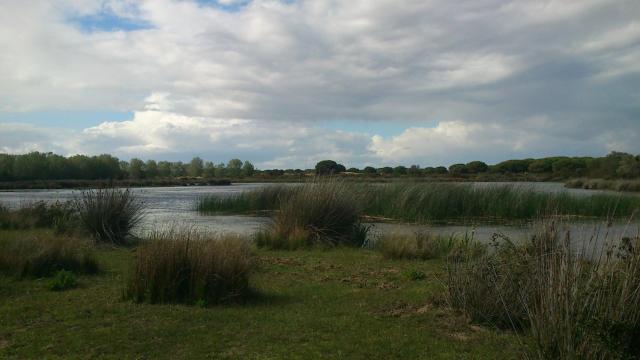 Parque Nacional de Doñana, palacio de las Marismillas y alrededores