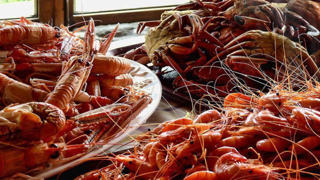 Una mariscada dispuesta para ser comida.