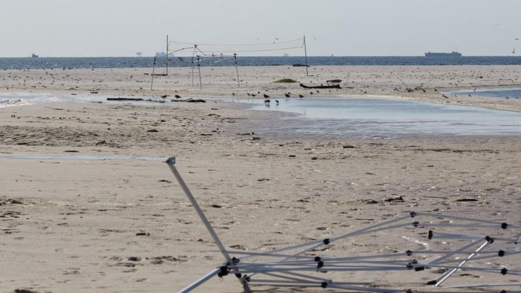 El arenal es zona de cría de aves protegidas.