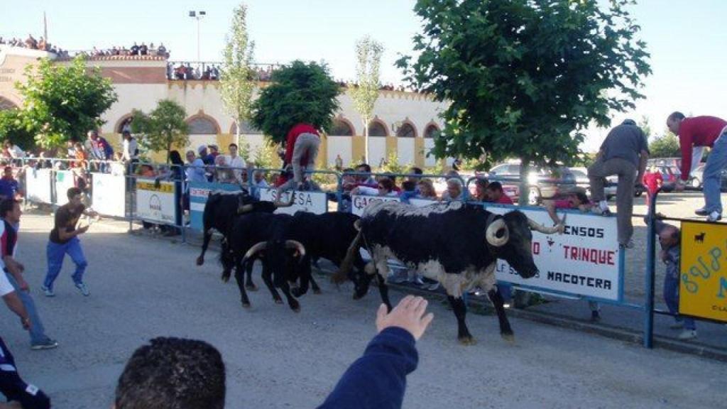 Castilla y León