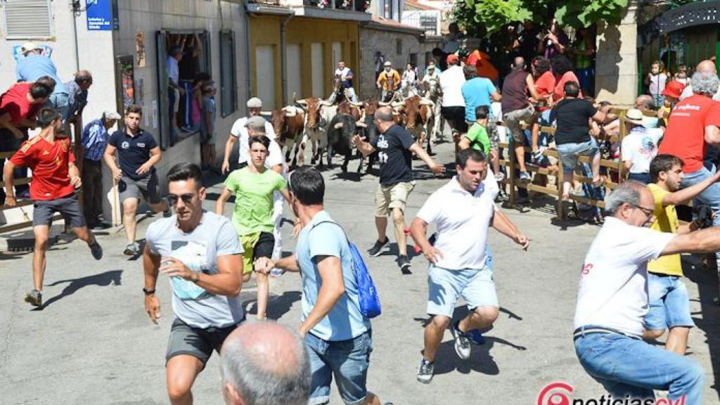 4 encierro 2017 lumbrales (30)