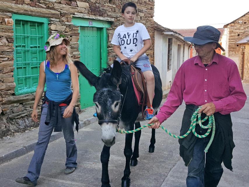 paseo-burro