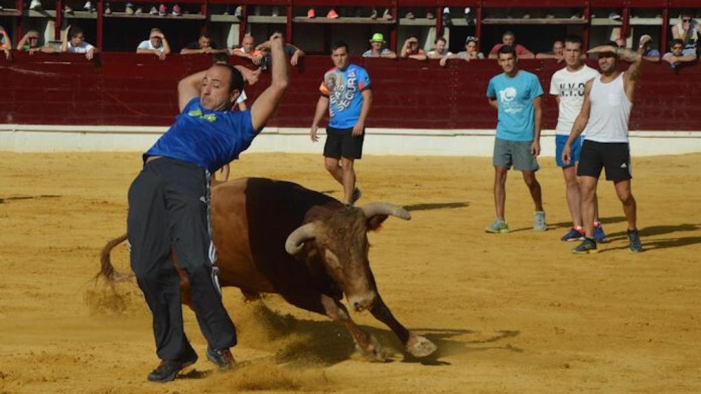 Encierros Medina del Campo 2016 Falcon (30)