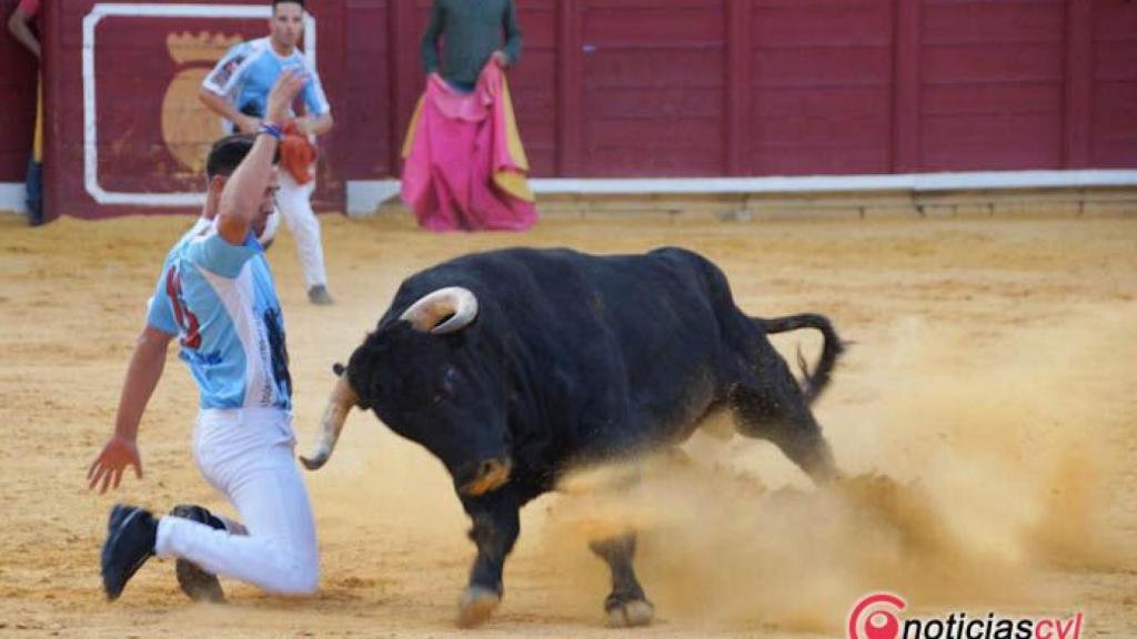 Castilla y León