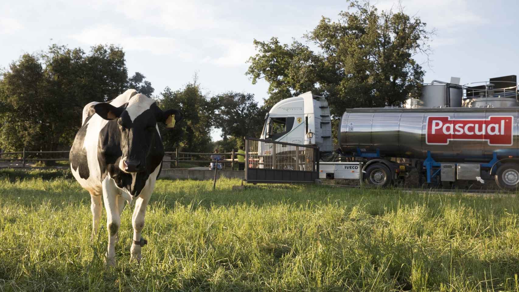 Leche Pascual ha llegado a un acuerdo con la ALE para pagar más por tonelada de leche recogida.