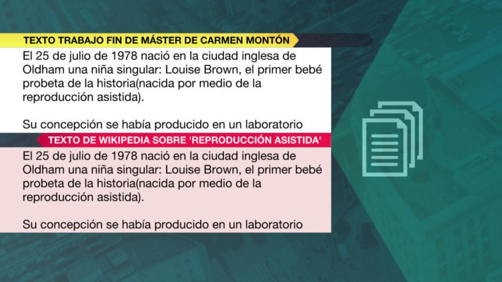 Imagen de los párrafos del TFM de la ministra Montón.