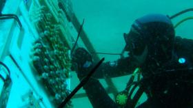 Uno de los buzos de la Universidad de Cádiz haciendo el experimento submarino.