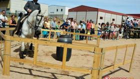 feria-del-caballo-2016-ciudad-rodrigo-28