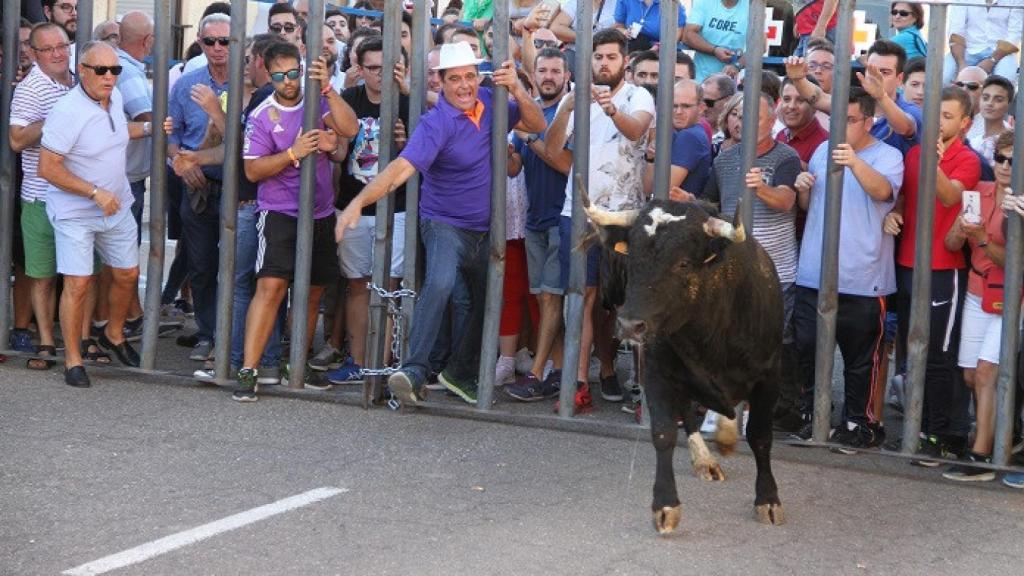 Castilla y León