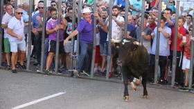 Castilla y León