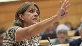 PP logra con su mayoría en el Senado que se vote hoy reprobación de Delgado