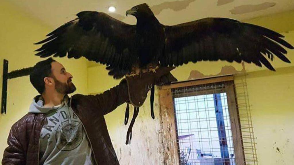 Santi Abascal, líder de VOX, sostiene un águila