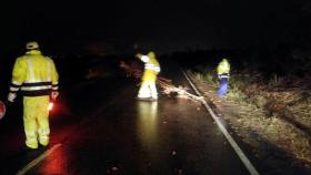 zamora diputacion caida arbol carretera