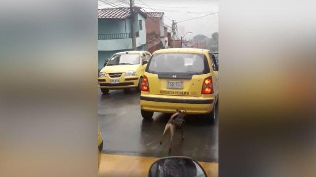 Un perro persigue bajo la lluvia al taxi de sus dueños tras ser abandonado