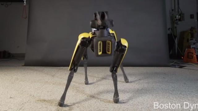 Spot, el perro robot, haciendo twerking.