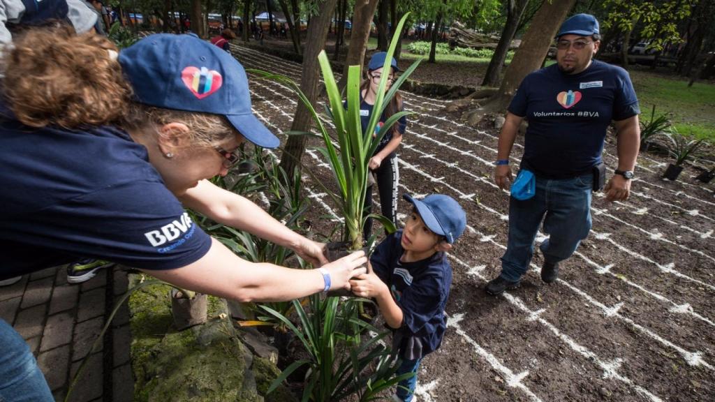 Voluntarios de México en el bosque Chapultepec.