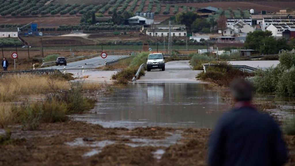 Un vecino de la zona observa los campos anegados de agua en las afueras de la localidad malagueña de Sierra de Yeguas.