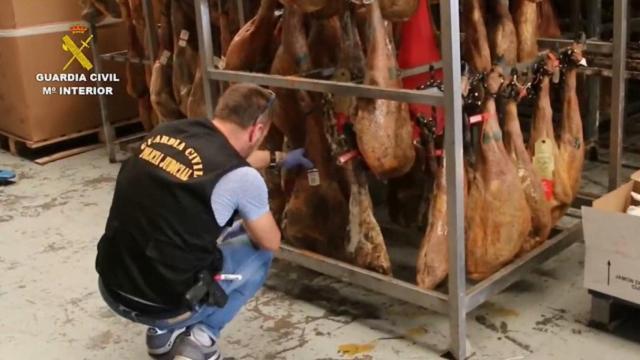 Un agente de la Policía Judicial inspeccionando los jamones incautados.