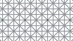 black-dot-illusion-h