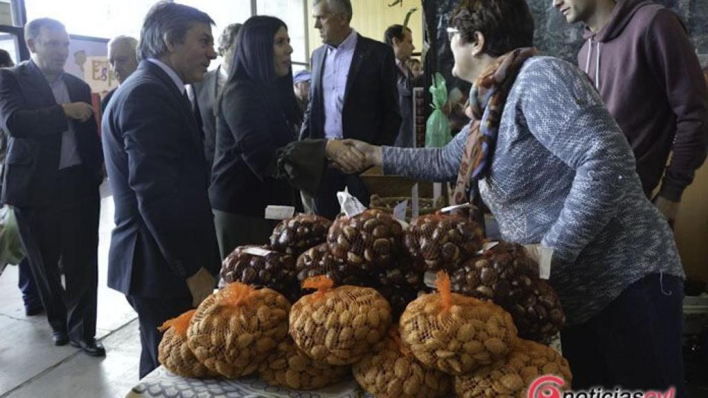 Feira castanha trancoso 2017 (2)