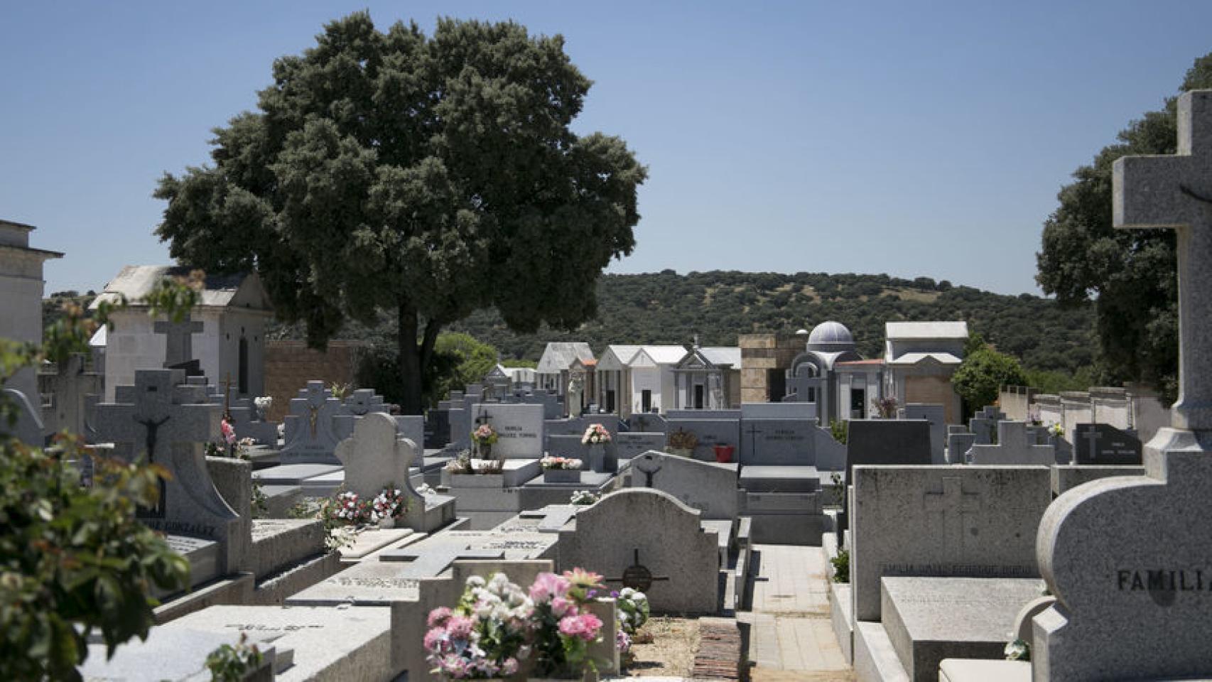 Cementerio de Mingorrubio, en El Pardo.