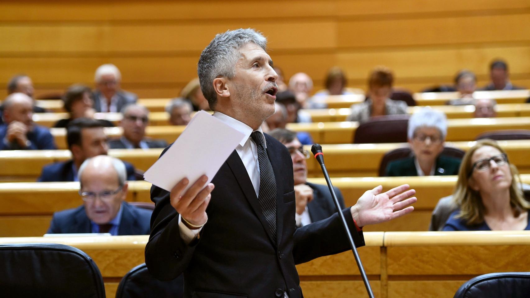 Fernando Grande-Marlaska, ministro del Interior, en el Senado.