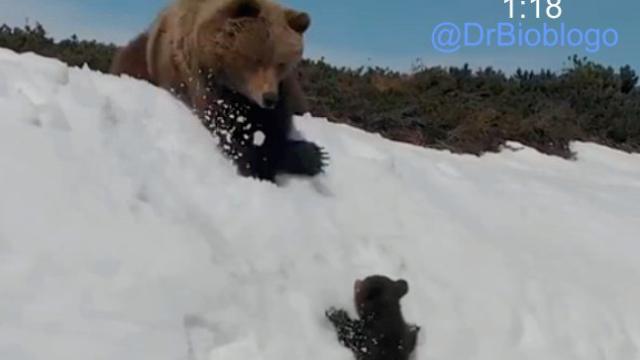 Una de las capturas del vídeo que sacó el tuitero