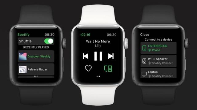 Spotify Watch