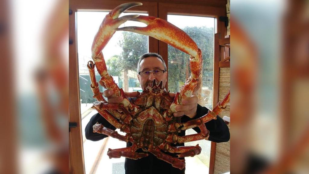 Un centollo gallego de 7 kilos degustado en abril en Porto dos Barcos (Oia).