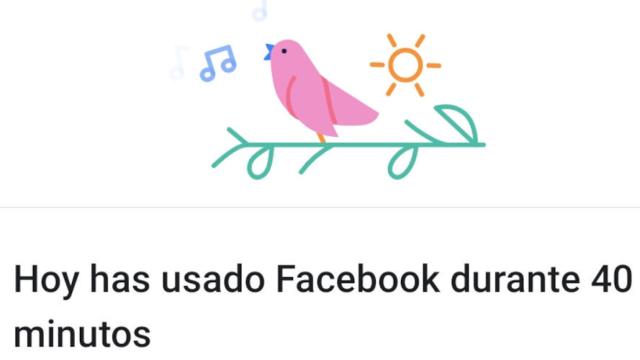 facebook tiempo 5