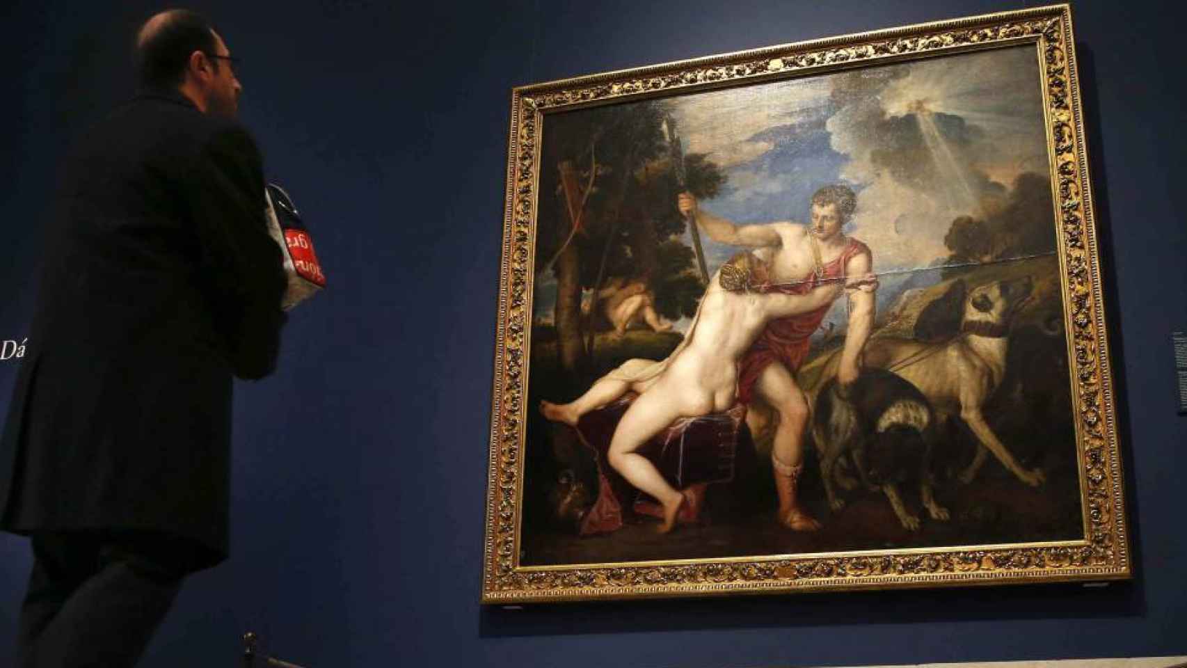 Un hombre contempla en el Prado 'Venus y Adonis', de Tiziano.