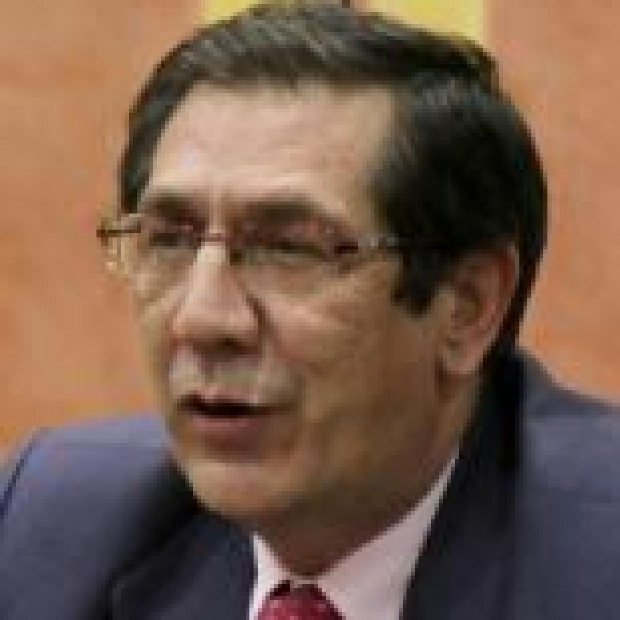 Enrique Arnaldo./