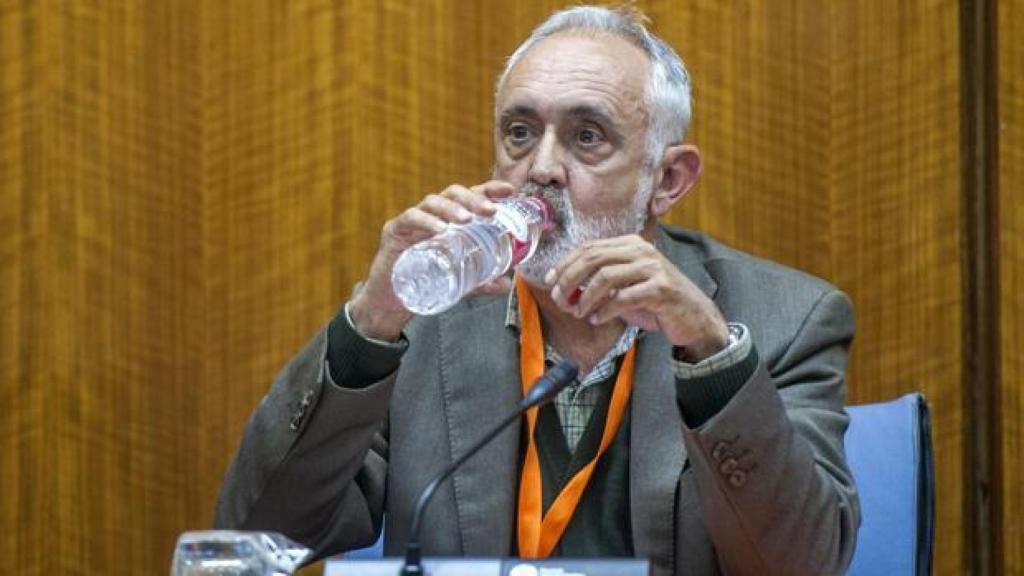 Fernando Villén durante su declaración en el Parlamento en una imagen de archivo.