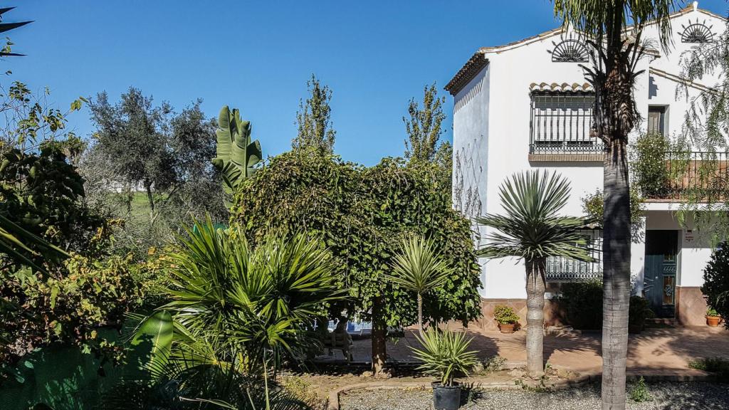 Finca Los Naranjos, en Alhaurín de la Torre, Málaga, donde sucedieron los hechos.