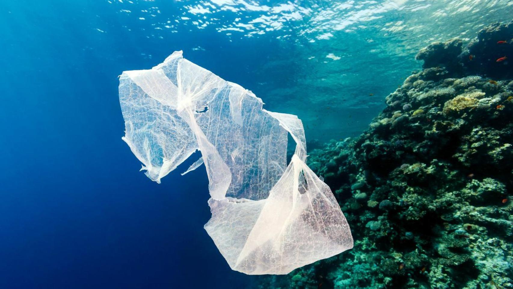 Una bolsa de plástico flota junto a un arrecife de coral