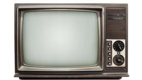 plagas-en-television