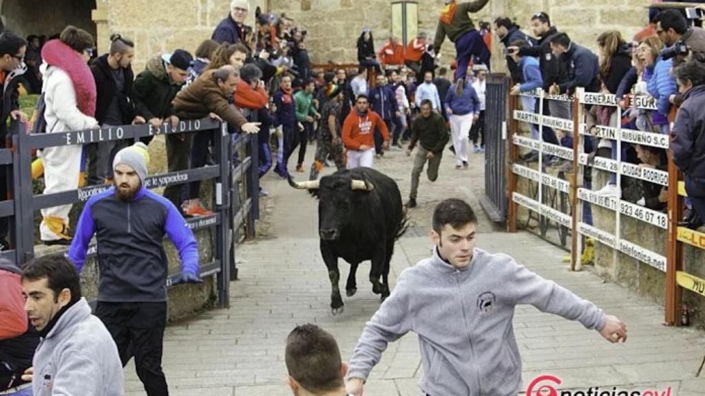 encierro lunes carnaval ciudad rodrigo (16)