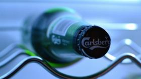 carlsberg_nevera