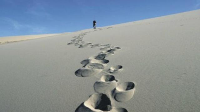 Invertir en bitcoin u otra criptomoneda en nueve pasos