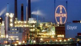 bayer2016