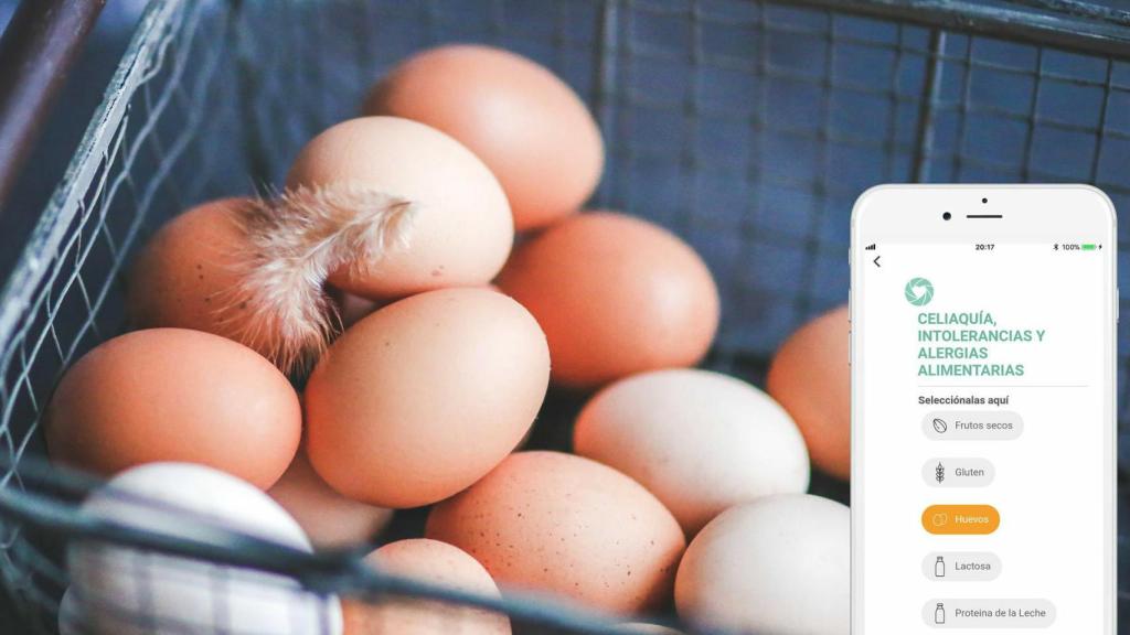 Hay multitud de aplicaciones en el mercado que se pueden convertir en grandes aliadas para planificar nuestra dieta.