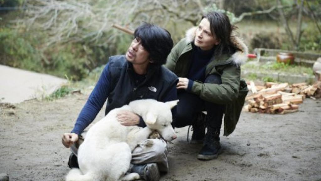 Image: Viaje a Nara (Vision): los dos mundos de Naomi Kawase