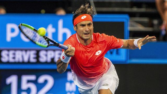 David Ferrer en la Copa Hopman de tenis en Perth