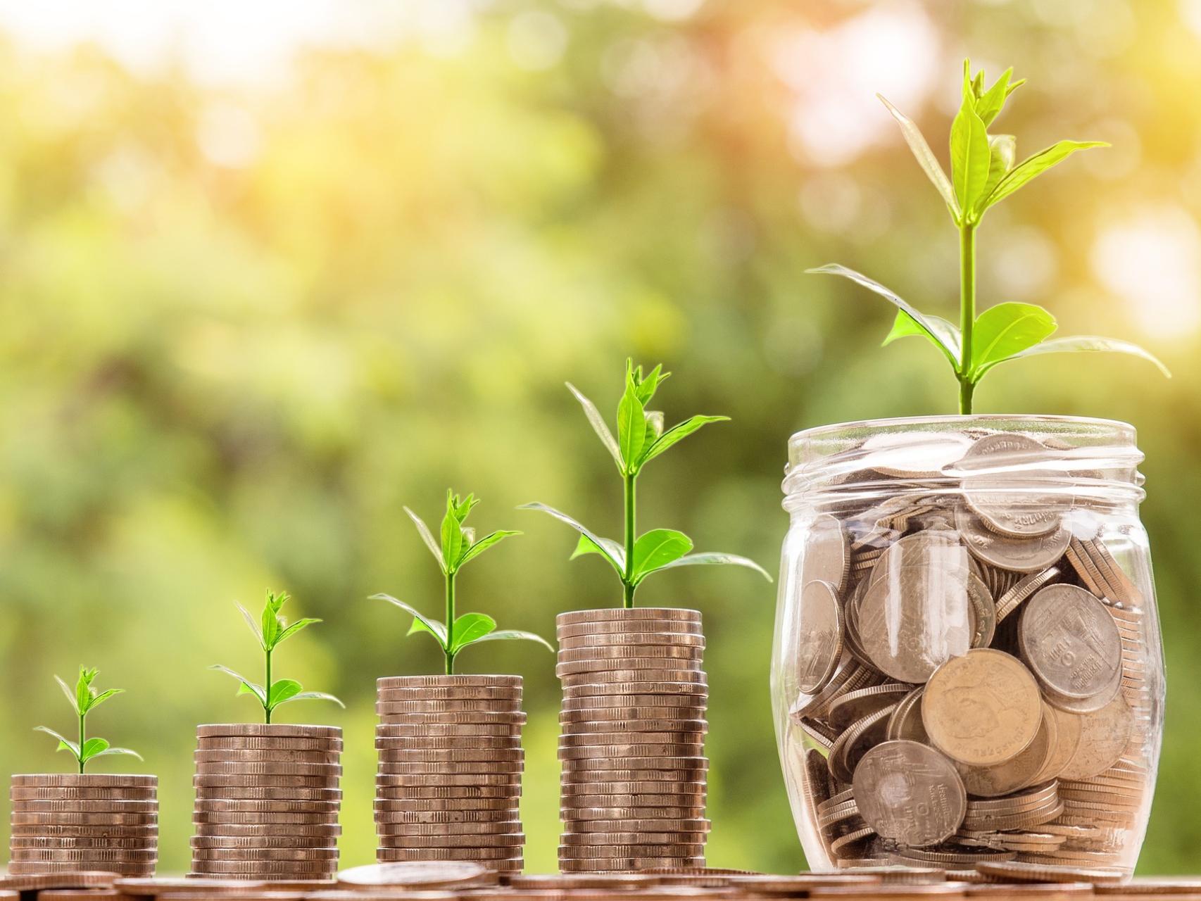 https://s1.elespanol.com/2019/01/11/como/ahorro-como_hacer_367724102_112042147_1706x1280.jpg