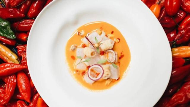 Ceviche - Quispe III