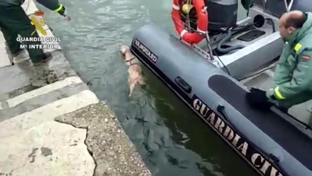 Un momento del rescate en el puerto de Santander